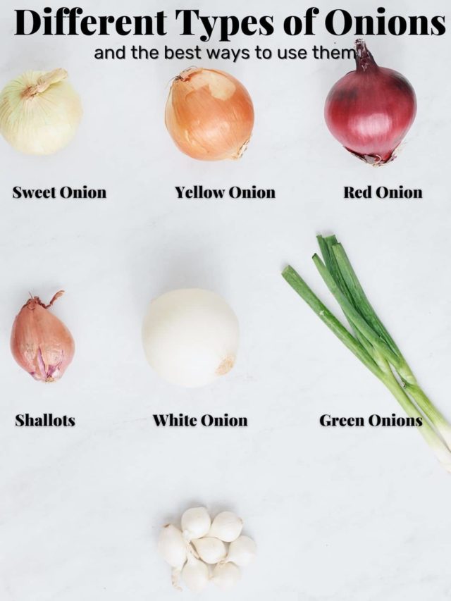 Different Types of Onions and the best way to use them - My Forking Life