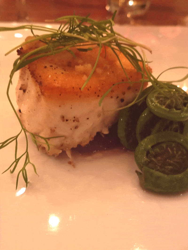 Corkbuzz sea bass radishes ferns on plate