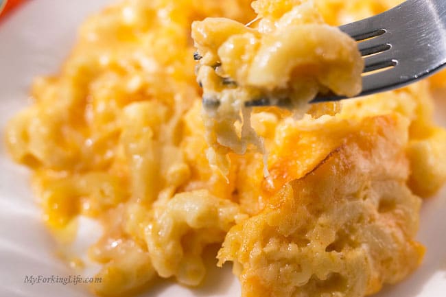 macaroni and cheese on fork