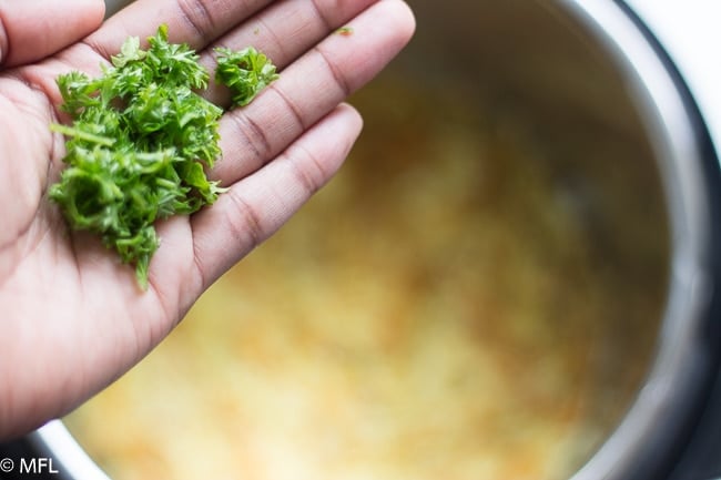 parsley in hand