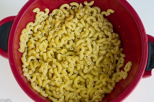 pasta in colander