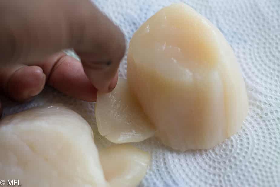 hand removing scallop foot