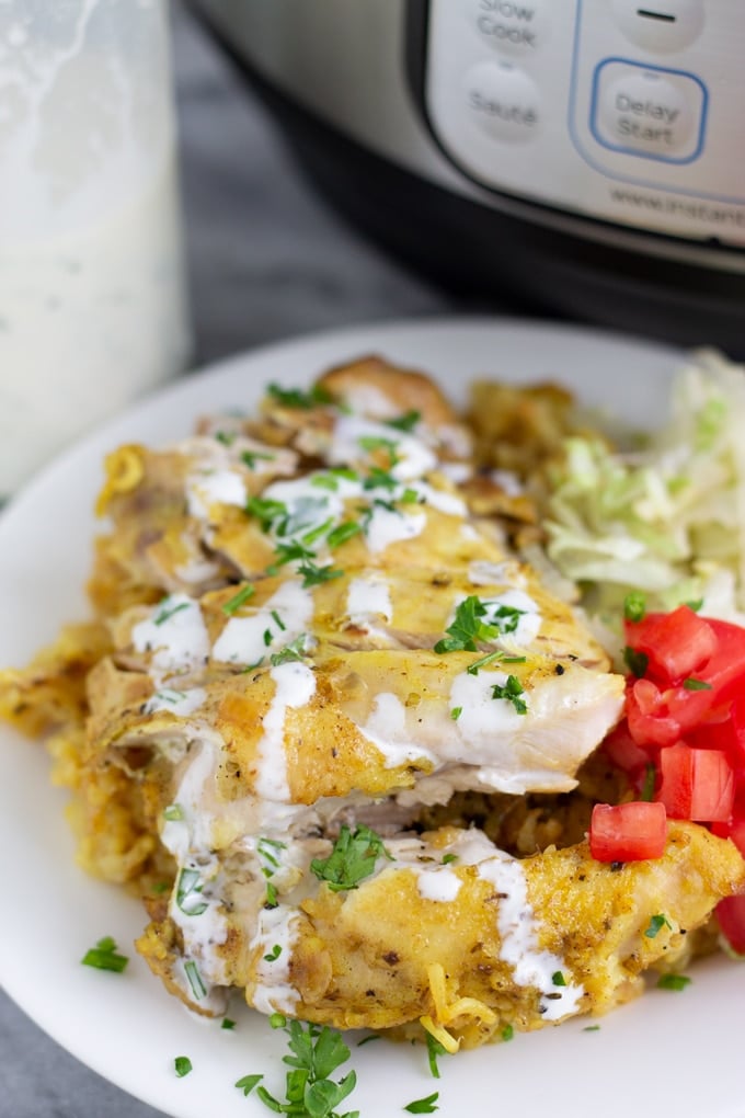 instant pot chicken and rice on a plate