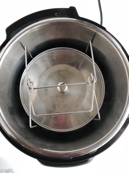 stainless steel insert in instant pot