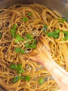 instant pot noodles in instant pot