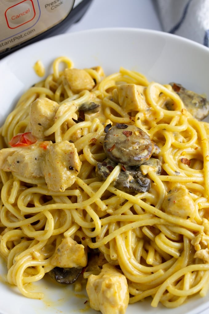 chicken spaghetti on a white plate