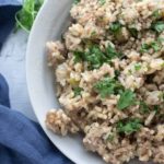 instant pot dirty rice on a plate