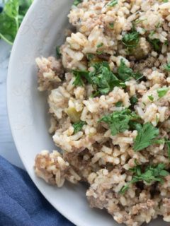 instant pot dirty rice on a plate