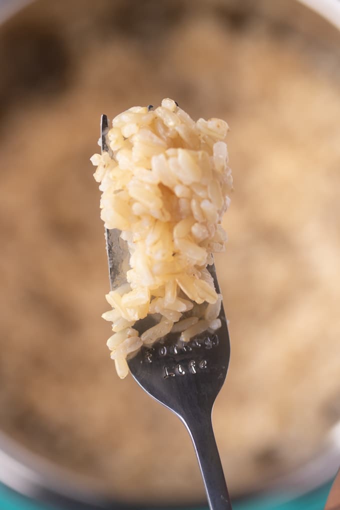 brown rice on fork