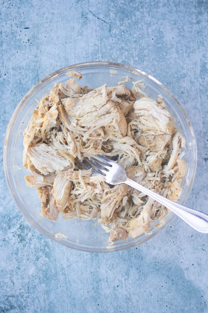 fork in bowl of shredded chicken