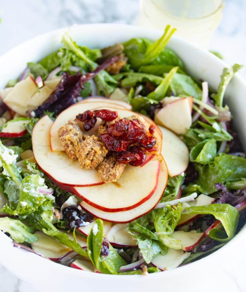 cranberry pecan apple salad in a white bowl