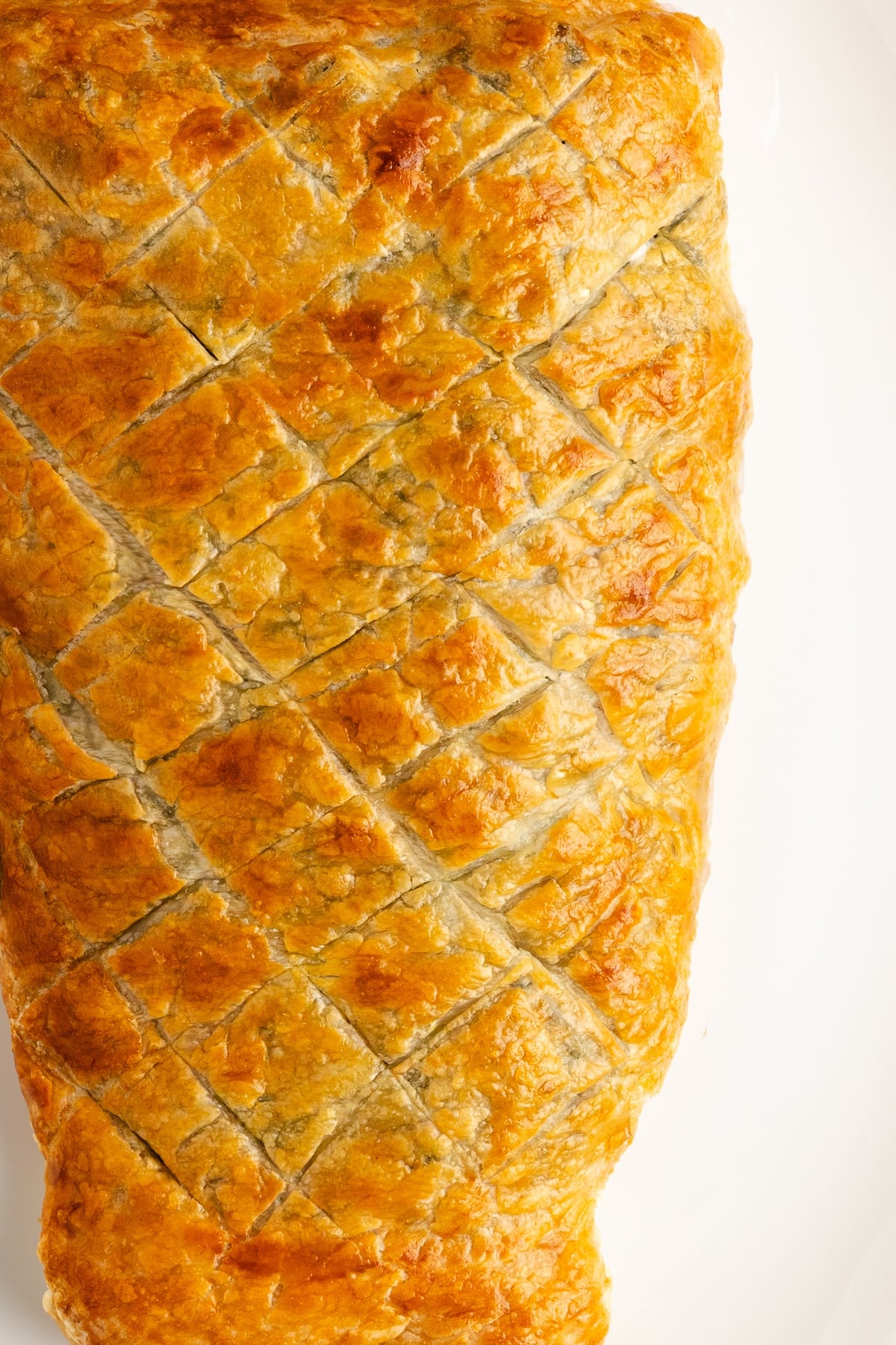 close up of salmon wellington