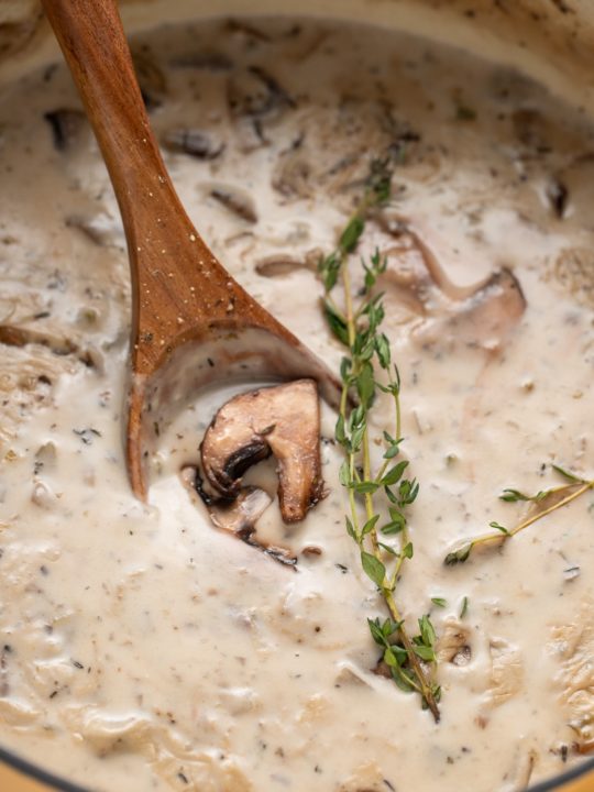 A wooden spoon in a pot of cream of mushroom soup.