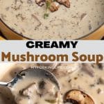 Pinterest graphic. Creamy mushroom soup with text.