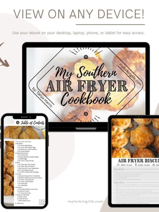 mockup for southern air fryer cookbook