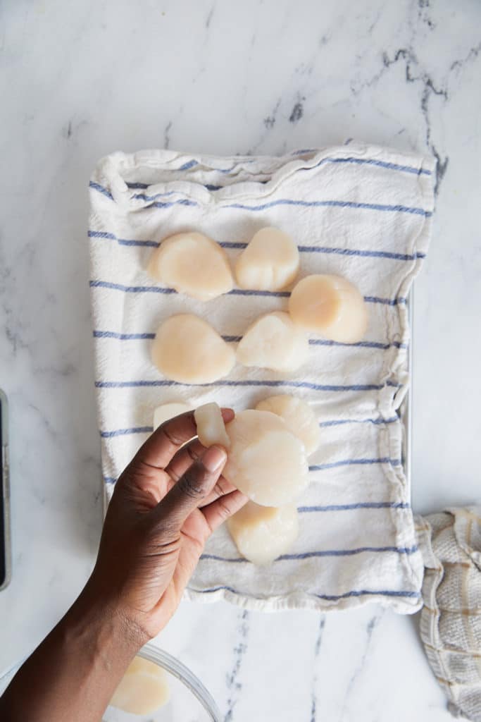 Patting dry the scallops.