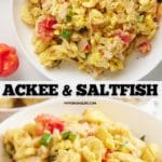 pin for ackee and saltfish