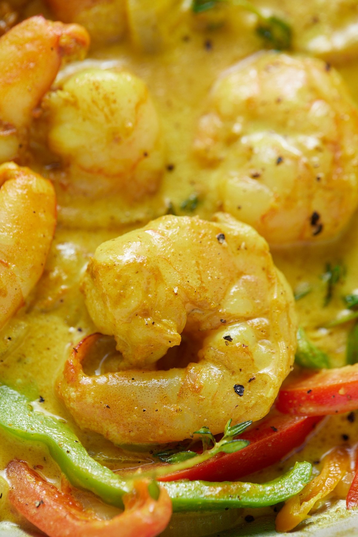 close up photo of Jamaican curry shrimp