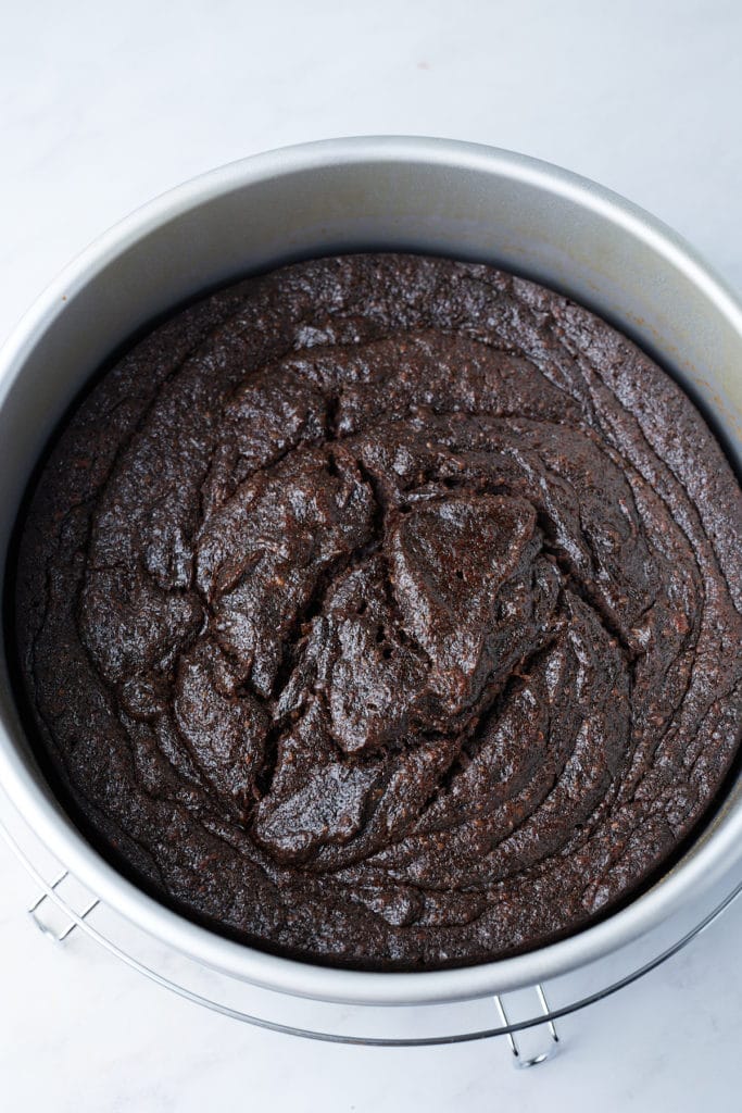 baked cake in pan