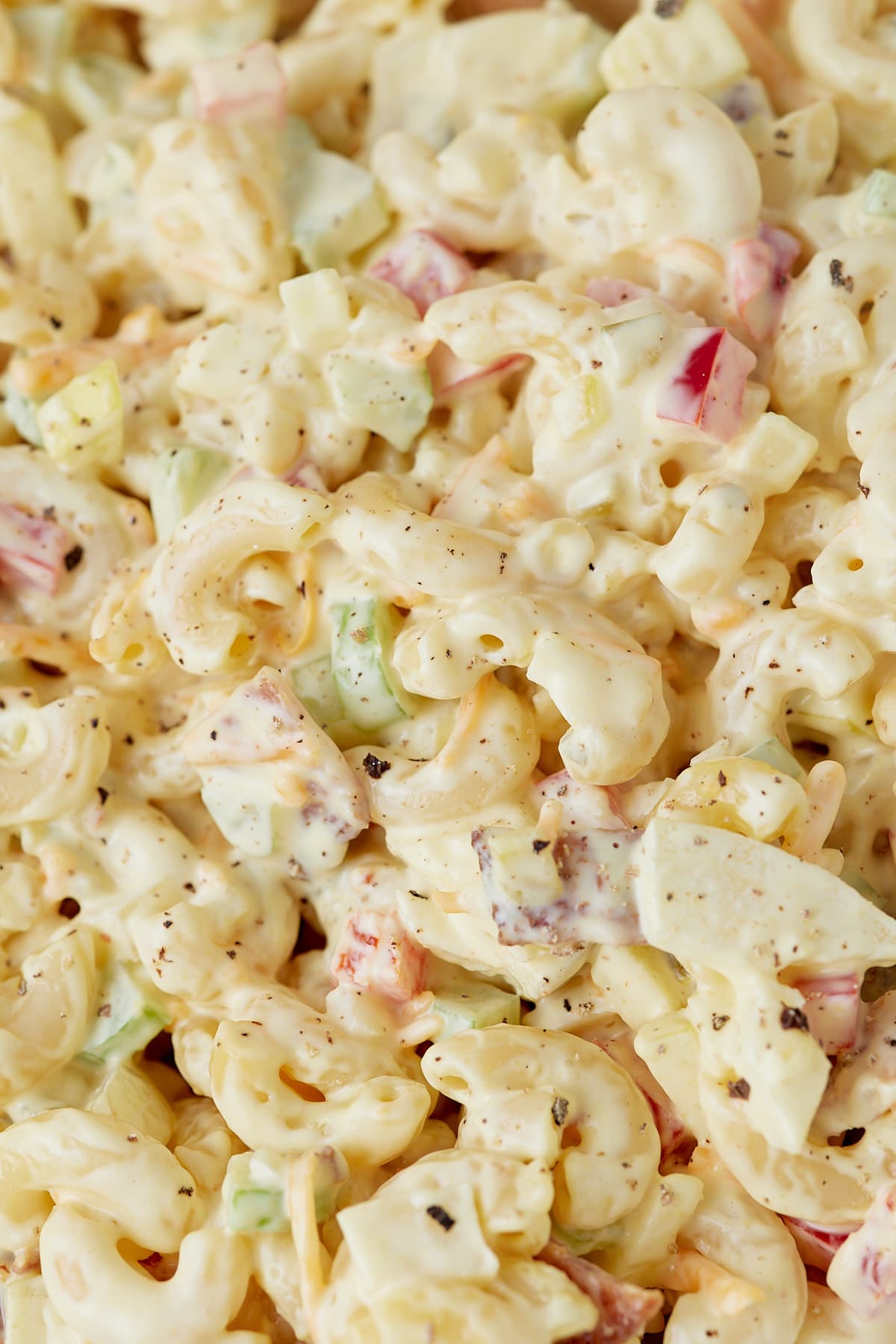 Close up of the macaroni salad.