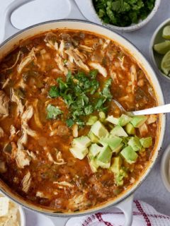 overhead photo of chicken chili recipe