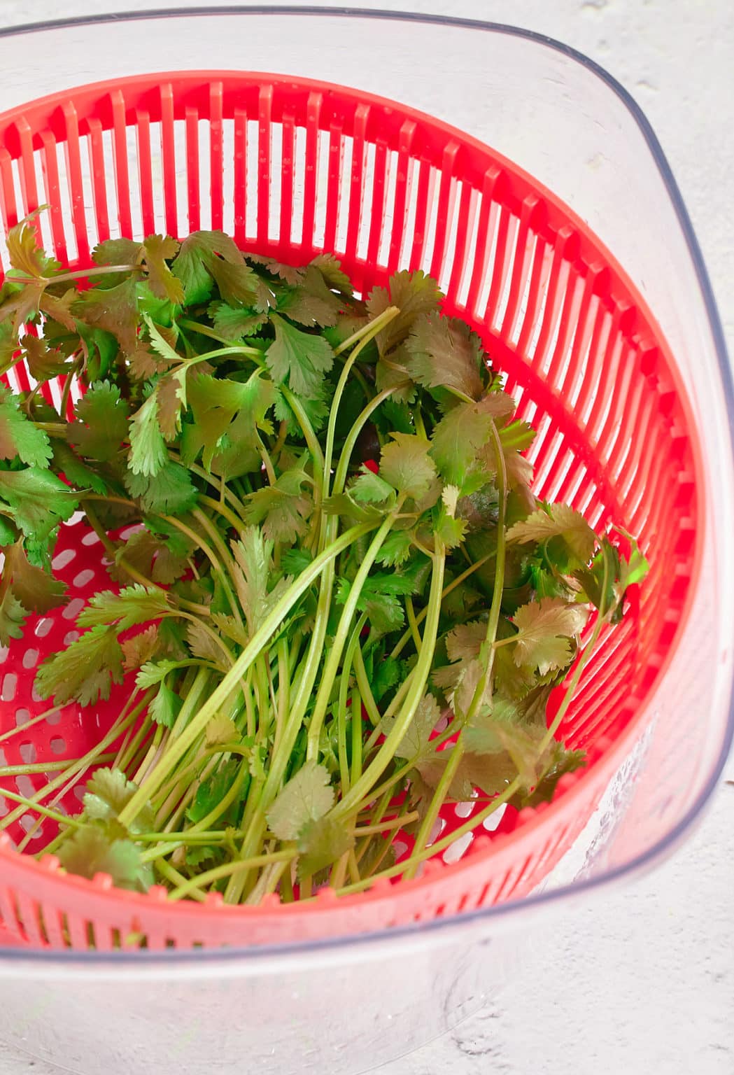 How to Store Fresh Herbs My Forking Life