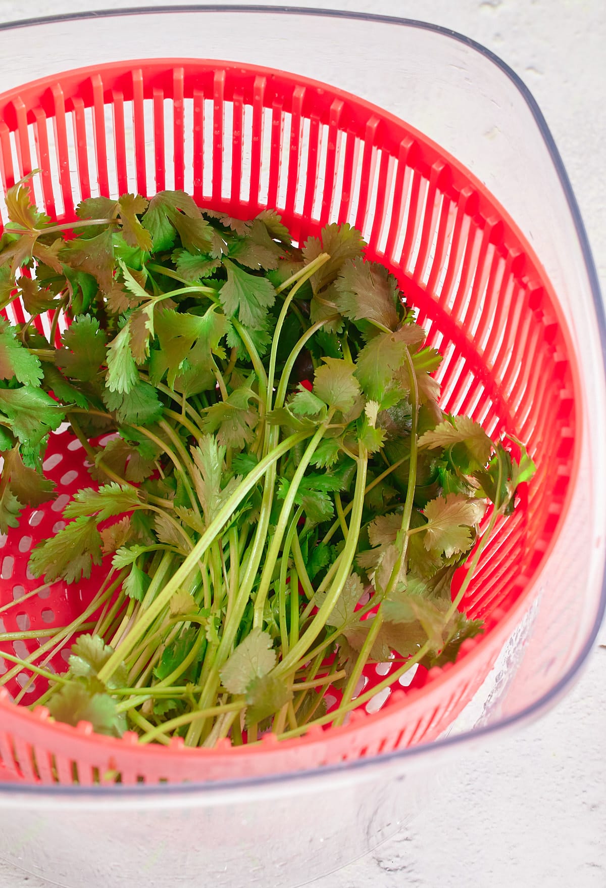 herbs in a colander