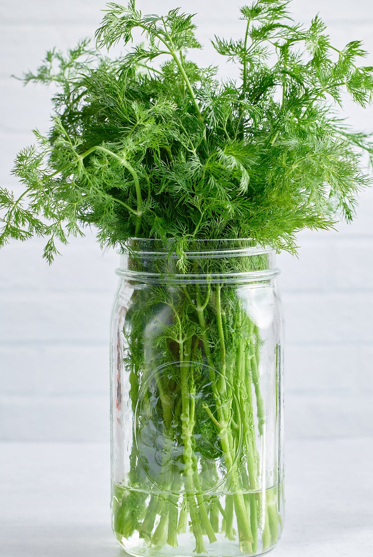 dill in a glass jar with a plastic bag over it