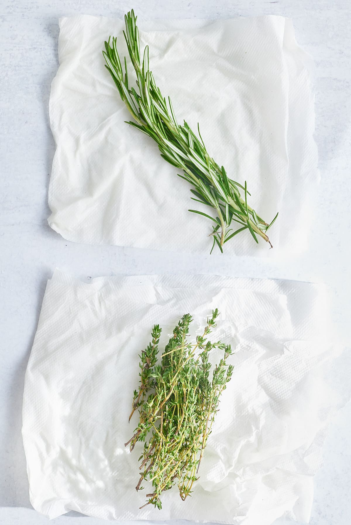 rosemary and thyme on damp paper towel