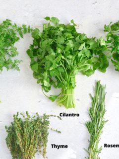 fresh herbs on a white background