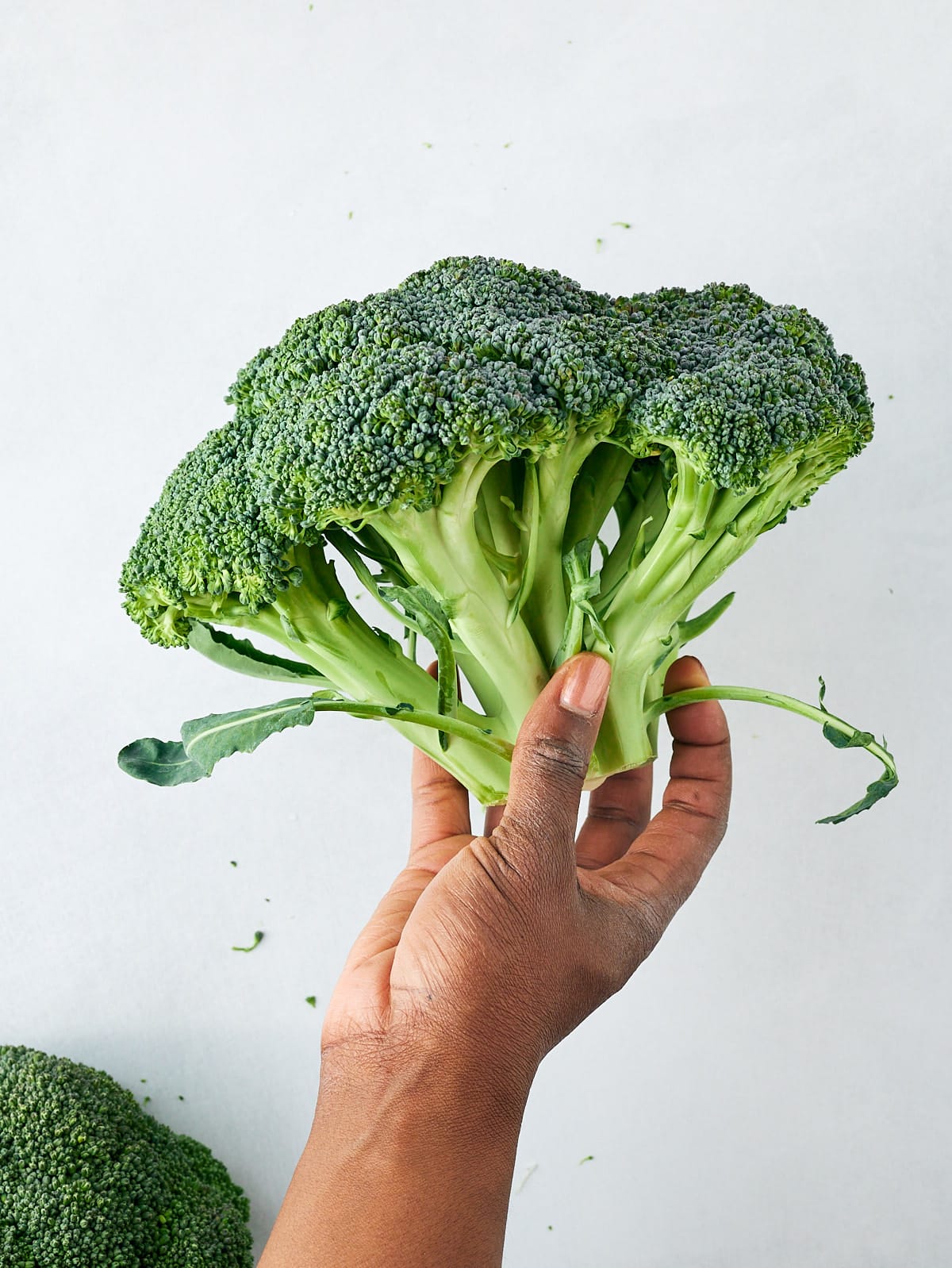 hand holding broccoli crown