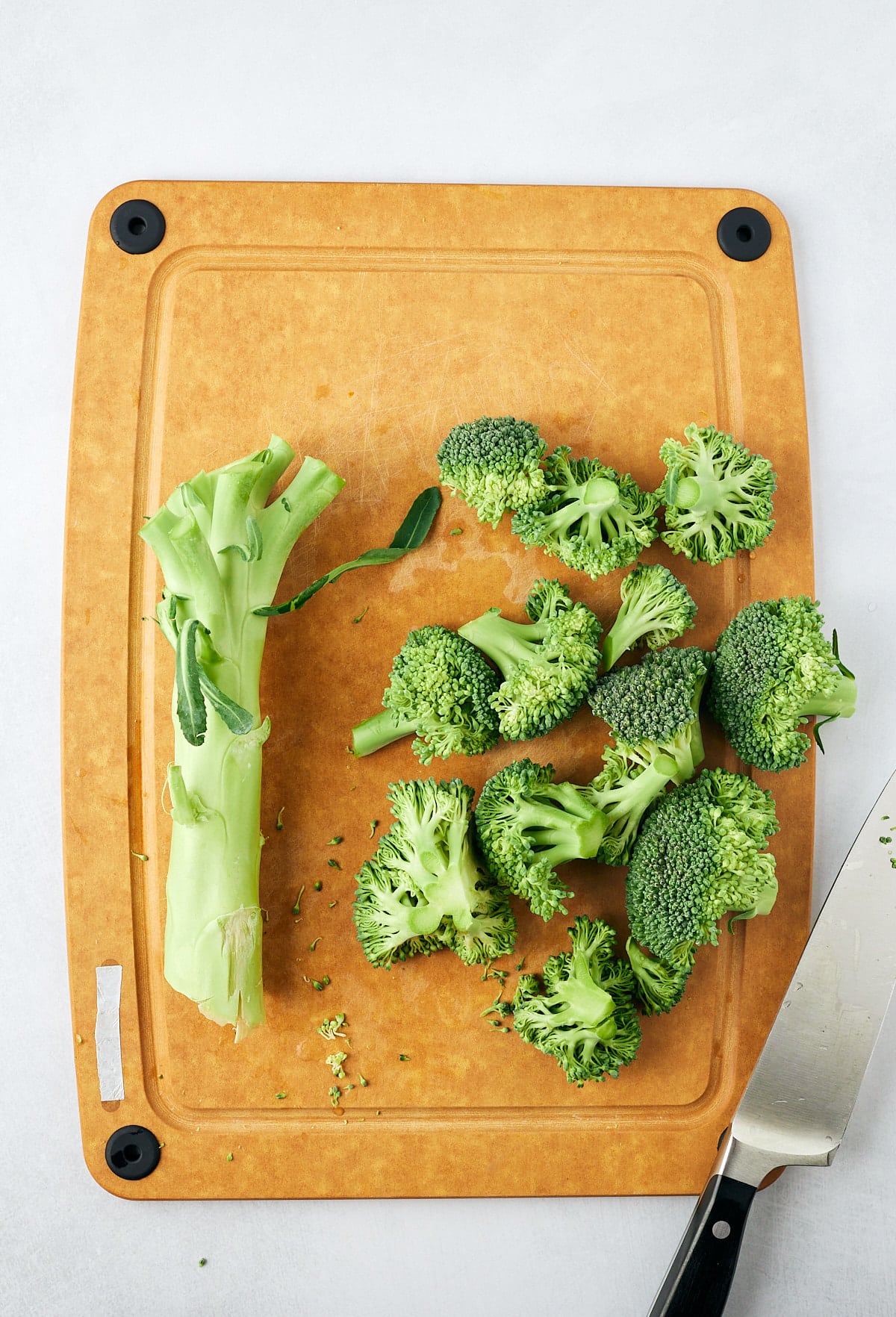 florets and stalk on cutting board