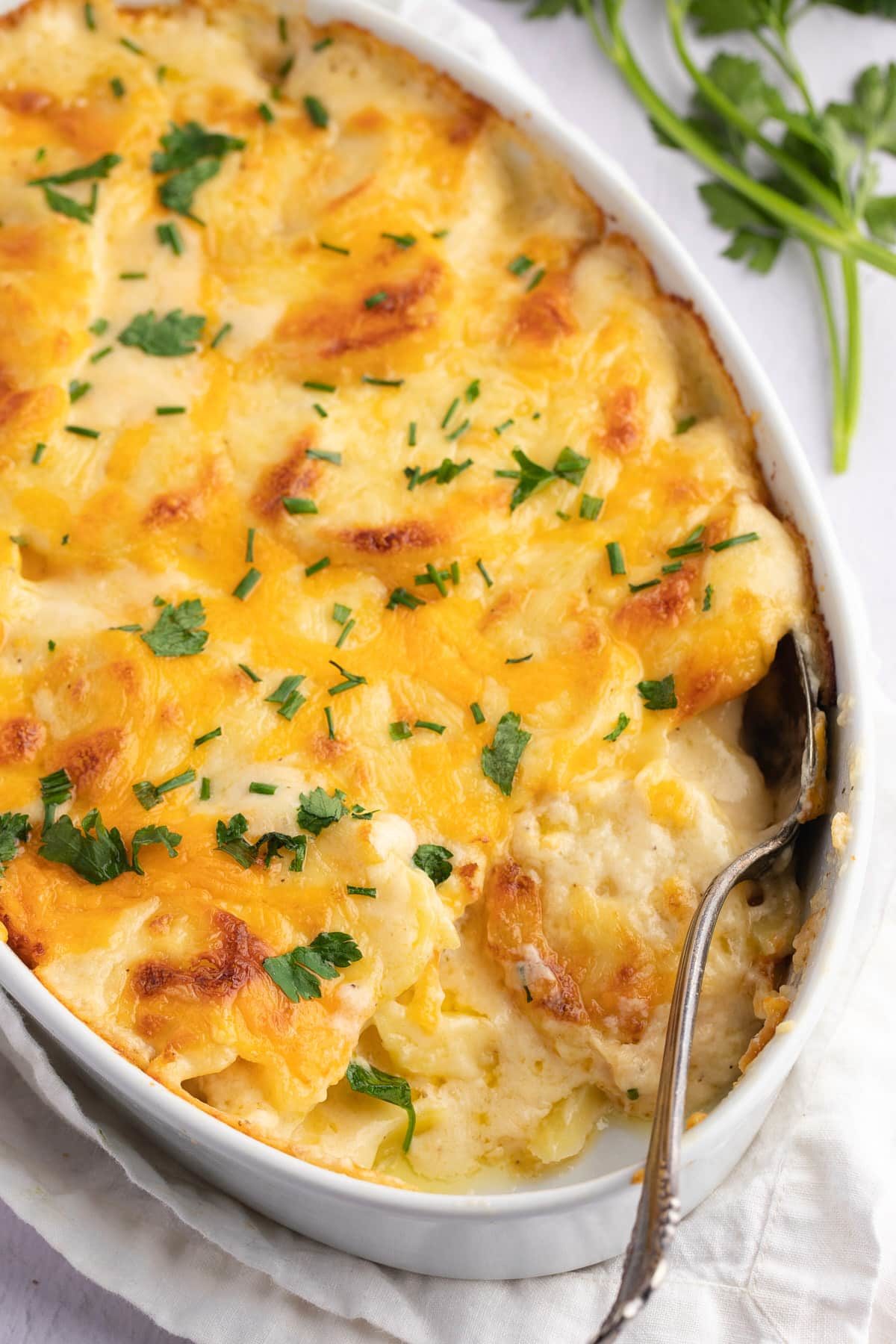 A serving spoon in the baking dish of cheesy scalloped potatoes.