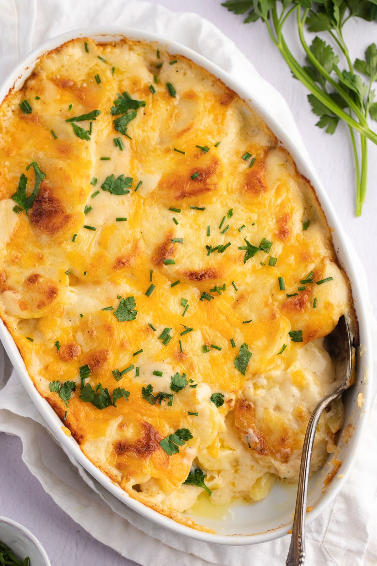 Overhead shot of scalloped potatoes in a white baking dish.