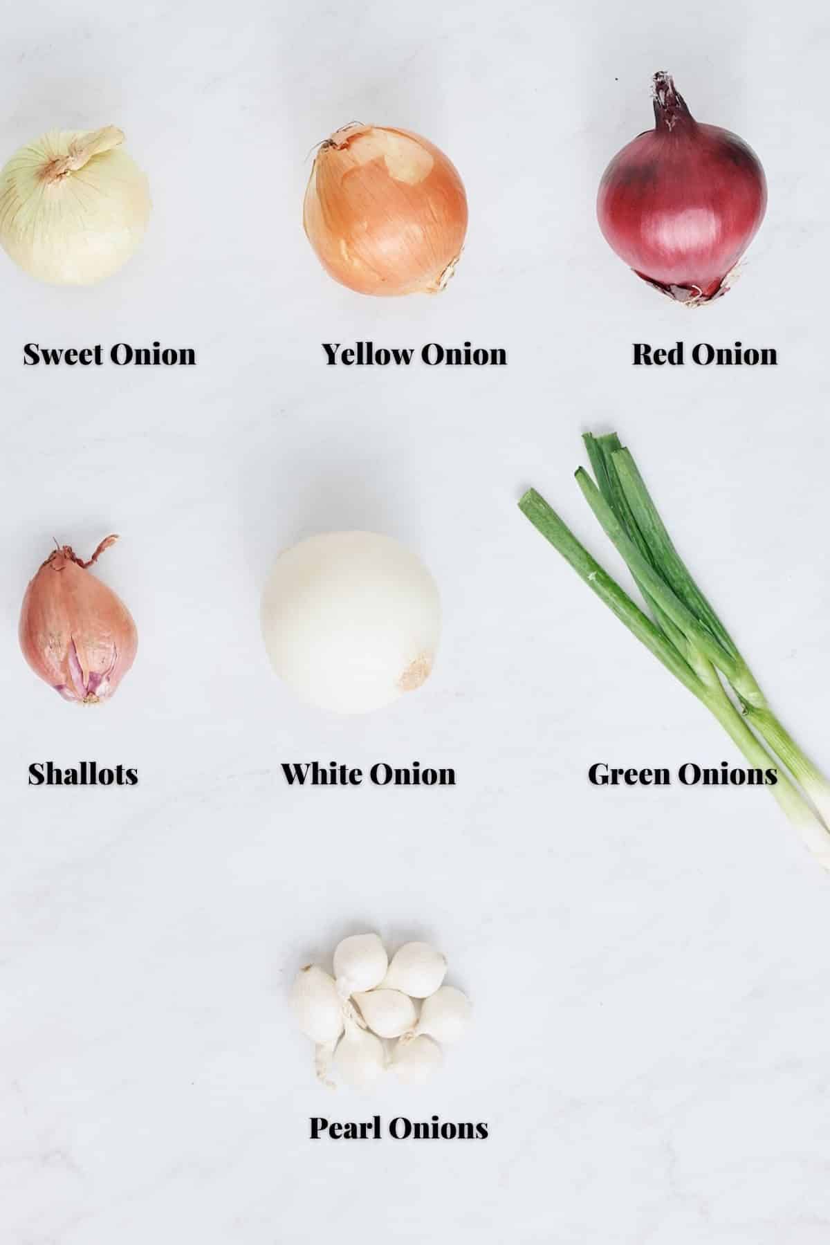 types of onions on a white background with name of onion