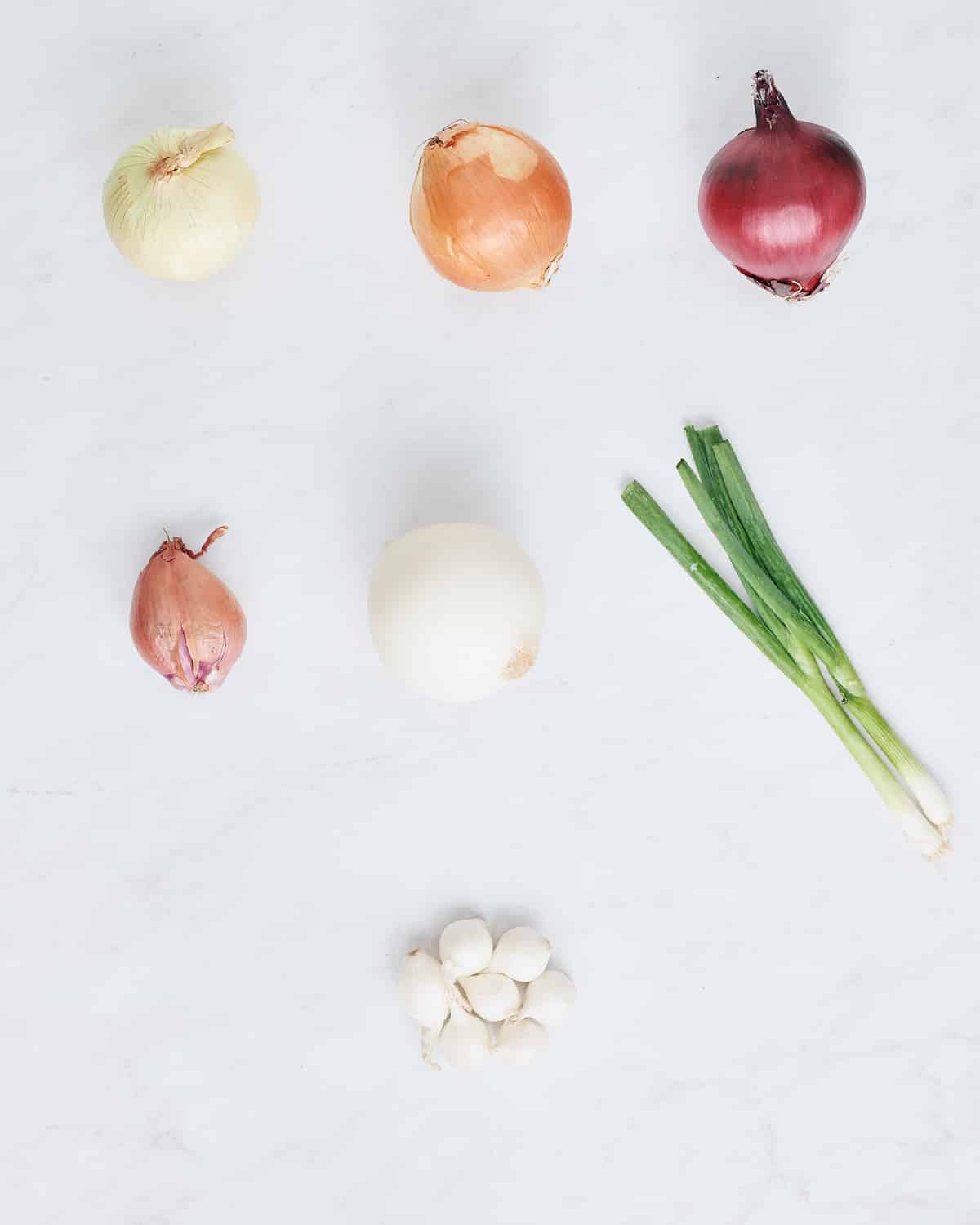 all onions on white background