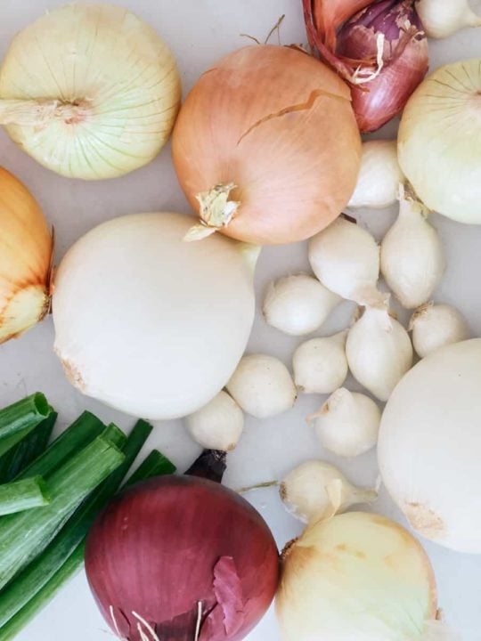 various onions on white background