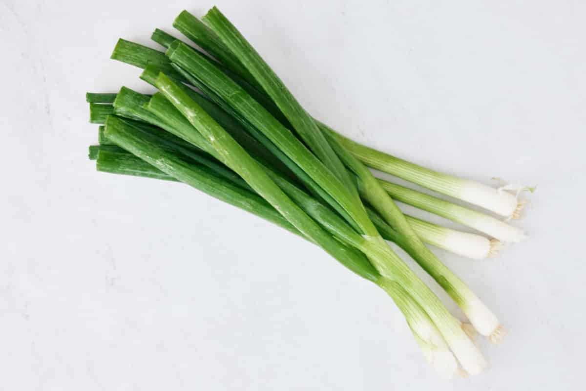 green onions on white background