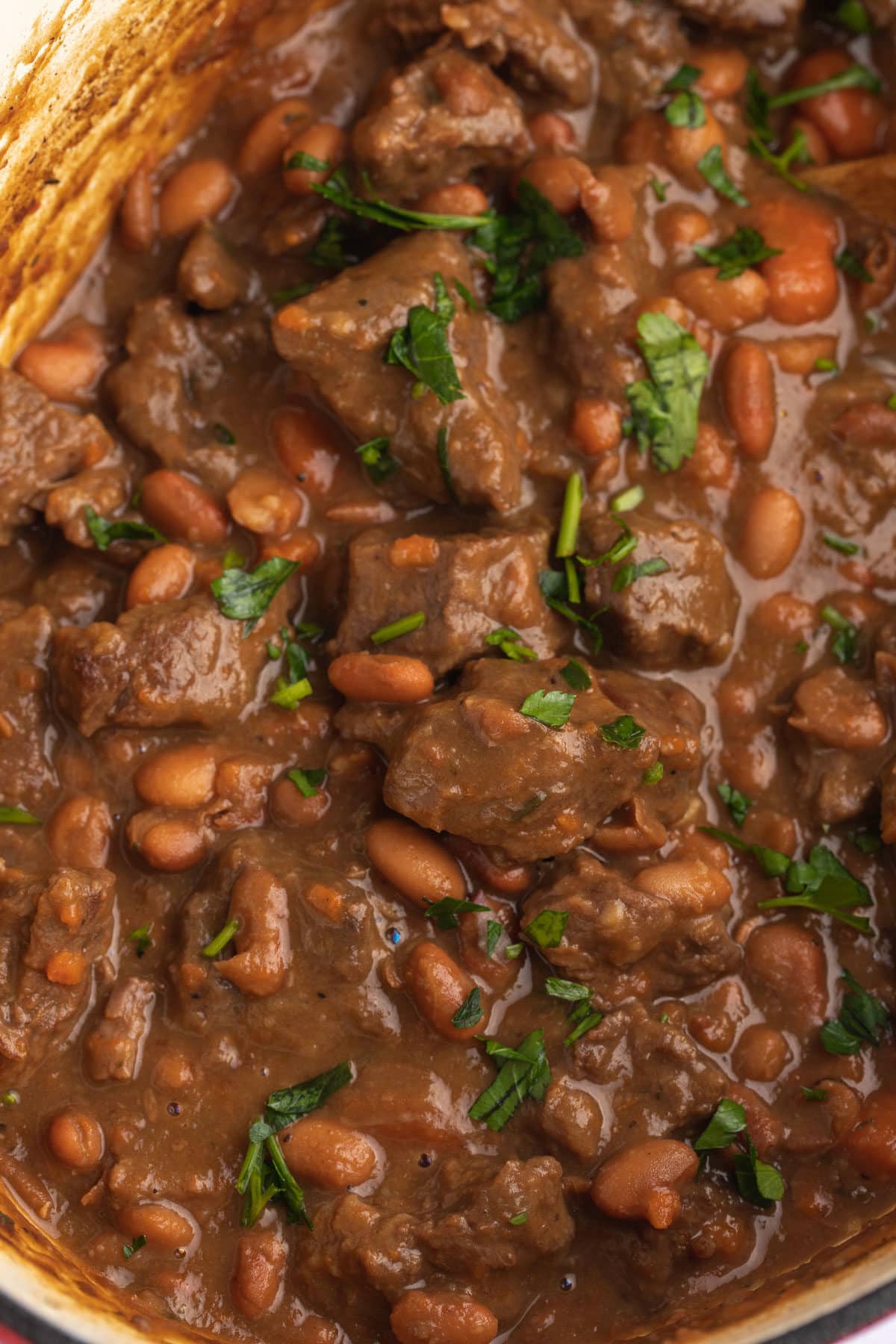 Close up of the beef and bean stew garnished with fresh parsley.