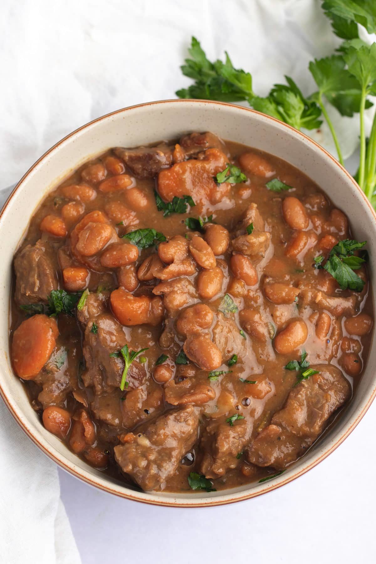 Overhead shot of a bowl of beef and bean stew.