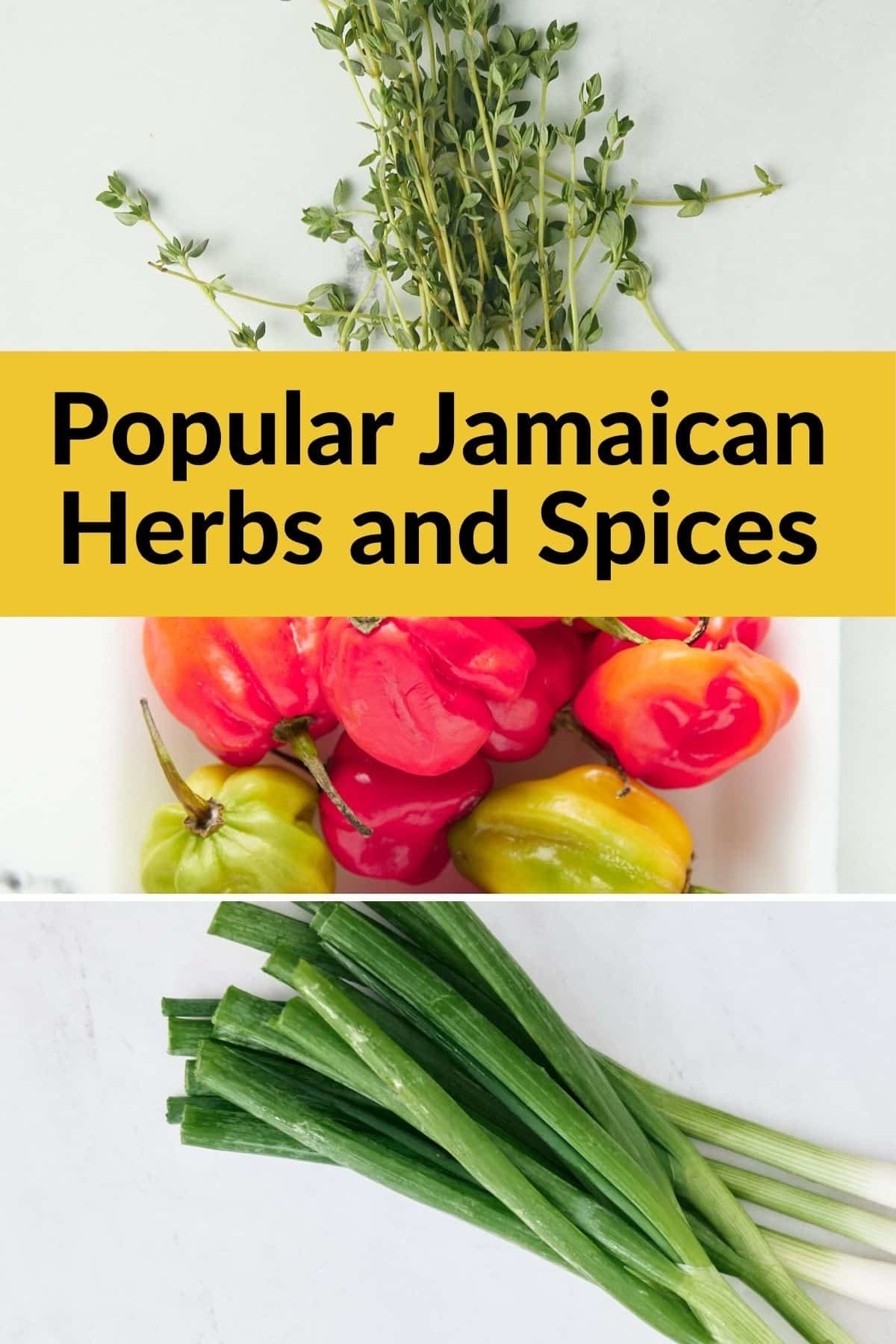 collage of scotch bonnet pepper, thyme, and green onion with text that says popular Jamaican herbs and spices