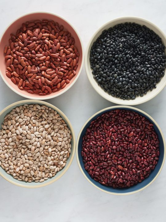 plates of dried beans on white background