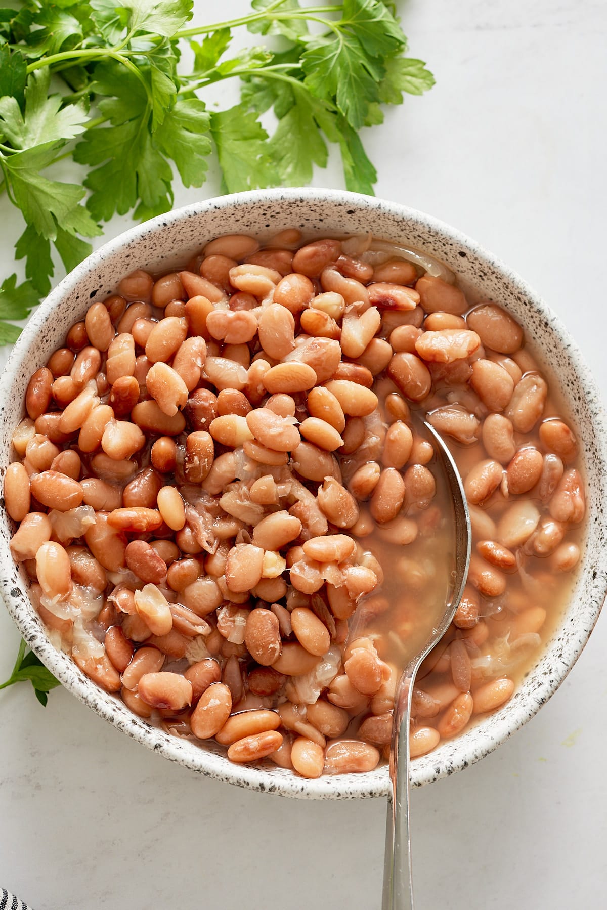 pinto beans in white bowl