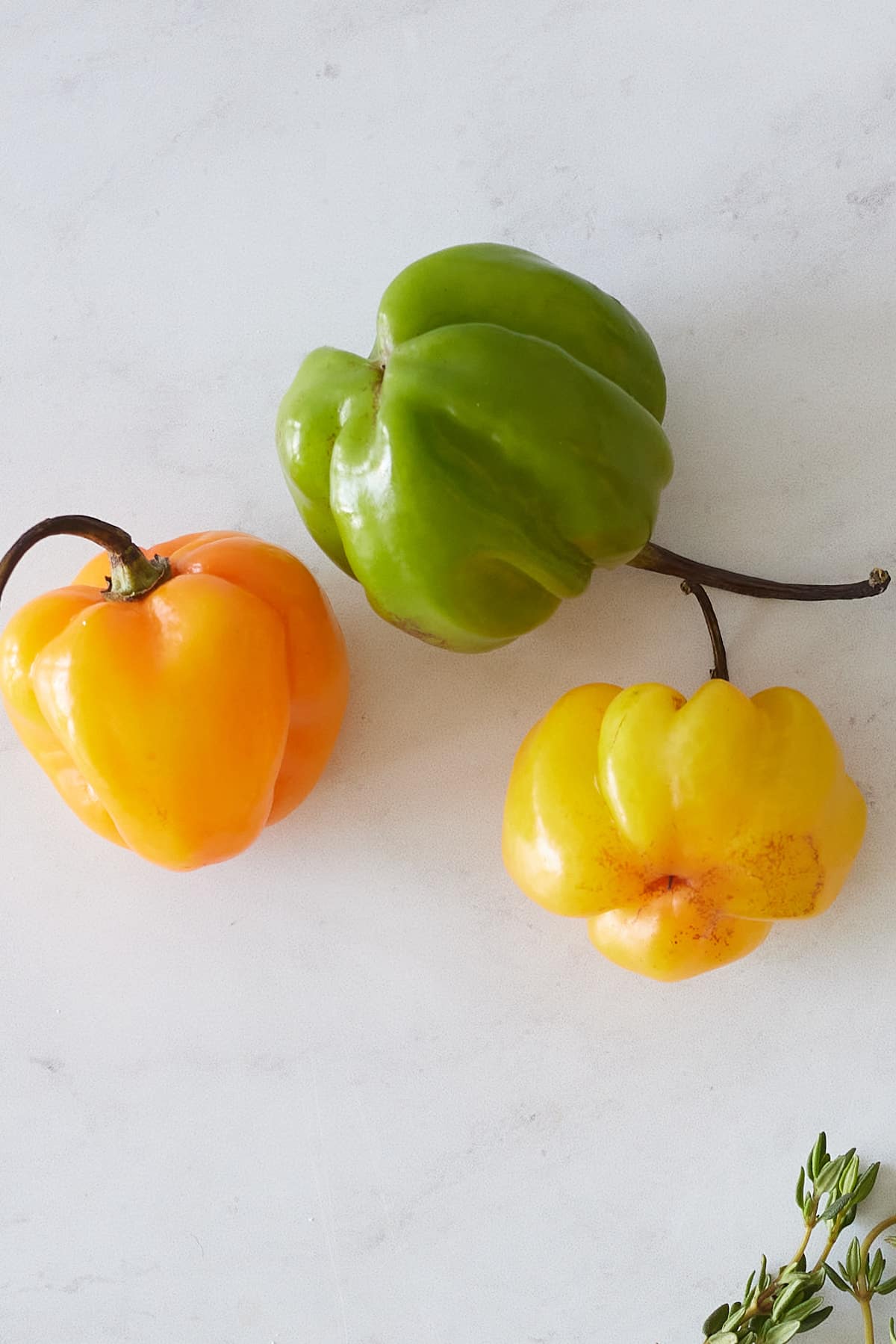 scotch bonnet peppers on white background