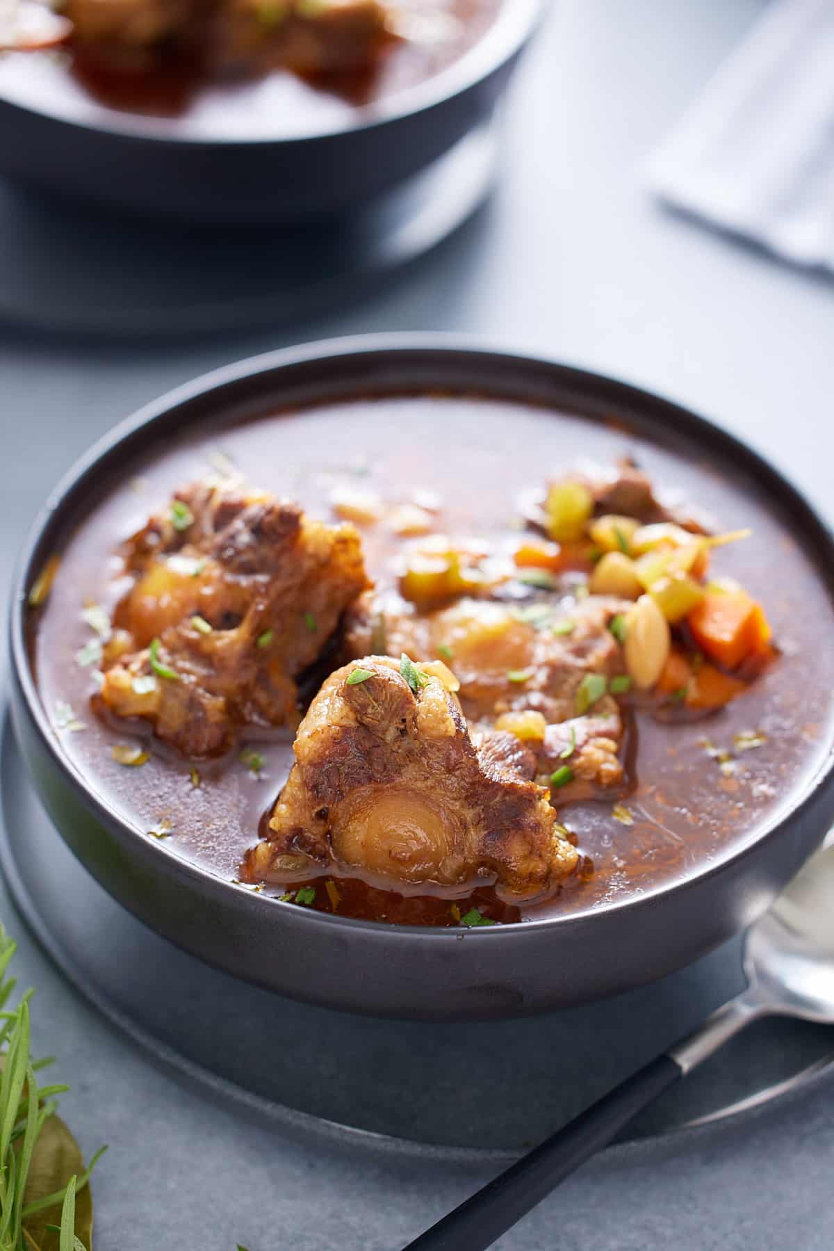 a bowl of oxtail stew on a gray background
