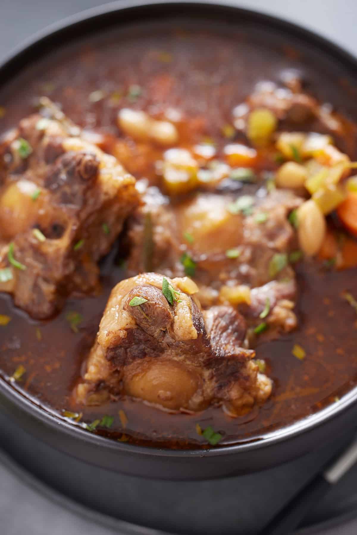 a bowl of oxtail stew on a gray background