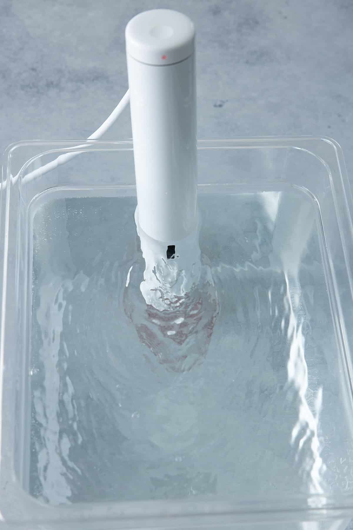 Sous vide water bath with immersion circulator attached