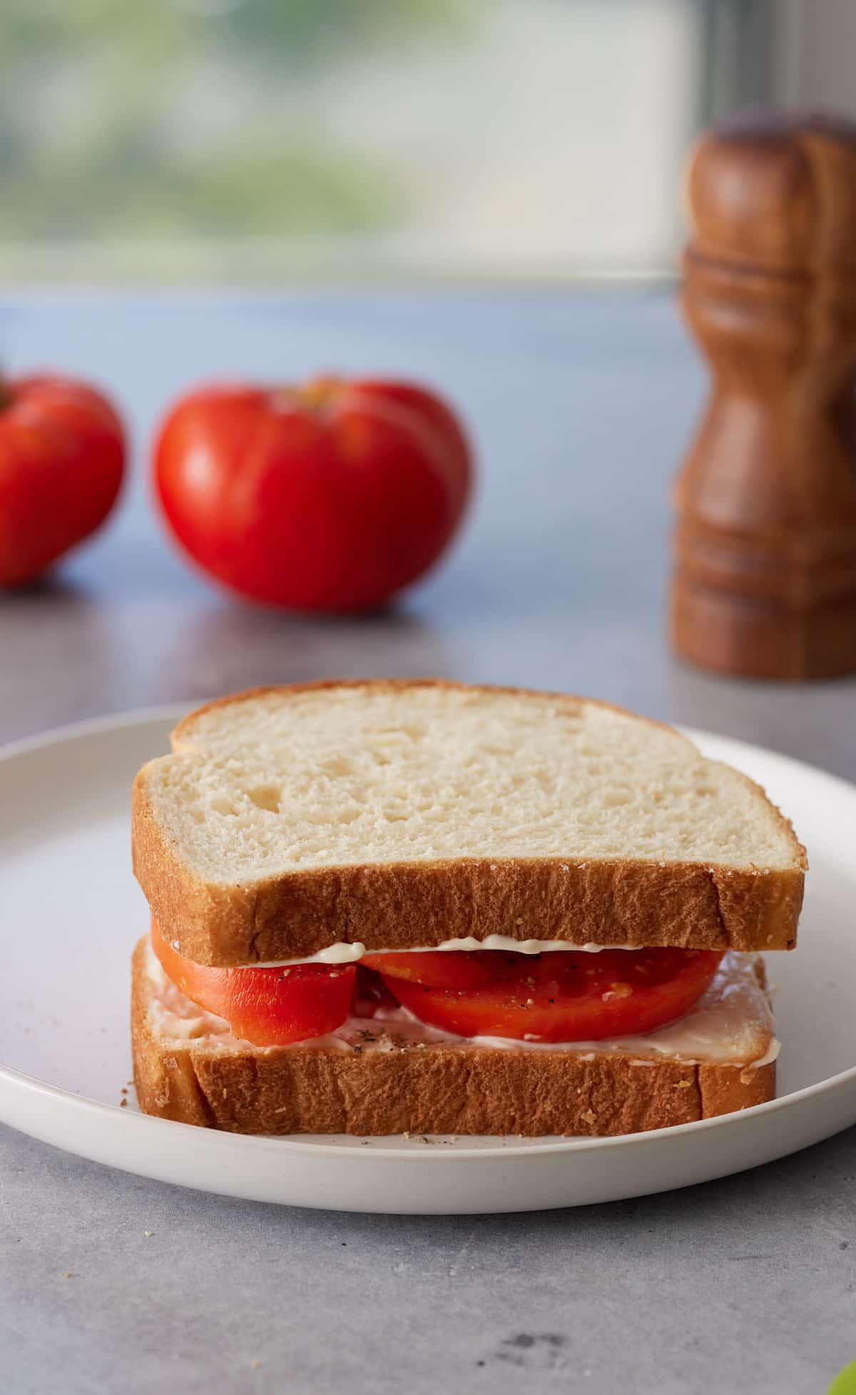 Close up image of a Southern tomato sandwich set on a white plate with fresh tomatoes and salt and pepper grinders in backgroun