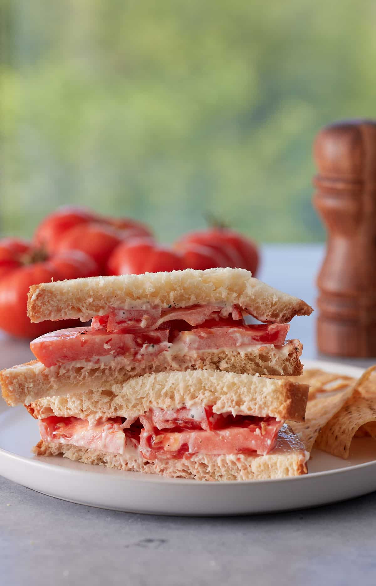 Close up image of a Southern tomato sandwich set on a white plate with fresh tomatoes and salt and pepper grinders in background