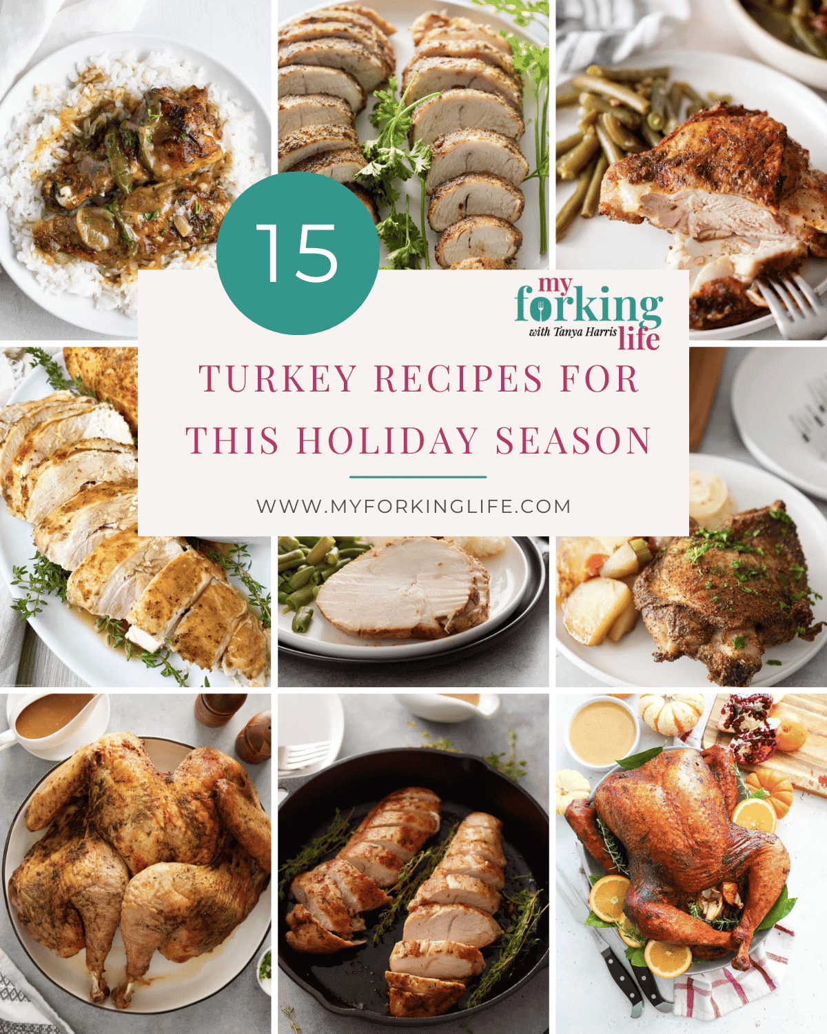 15 turkey recipes for the holiday season graphic